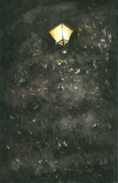 Untitled Untitled